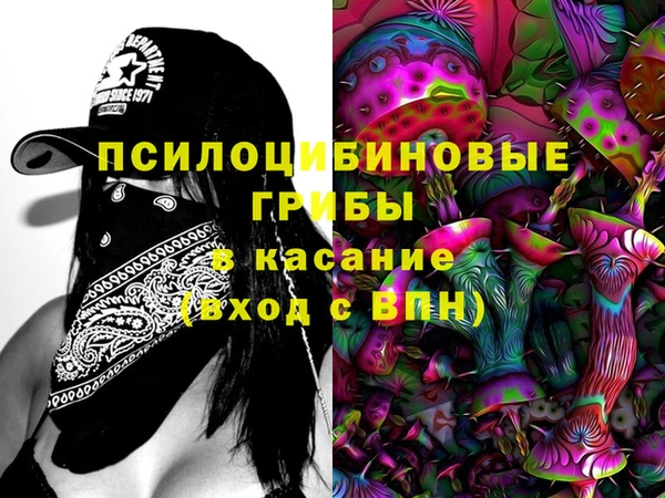 ECSTASY Богданович