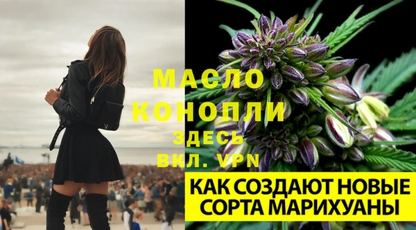 ECSTASY Богданович